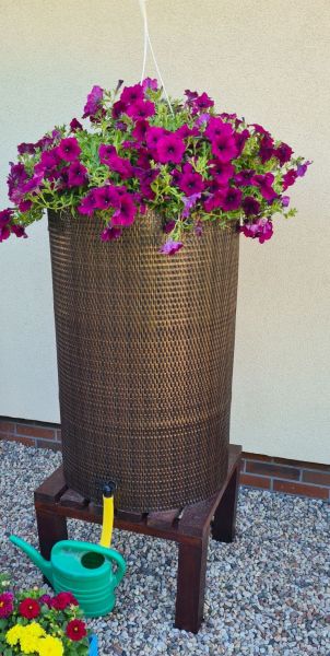 Damian, Stolno Damian, Stolno